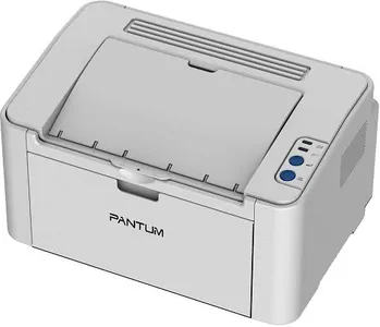 Ремонт принтера Pantum P2200 в Екатеринбурге